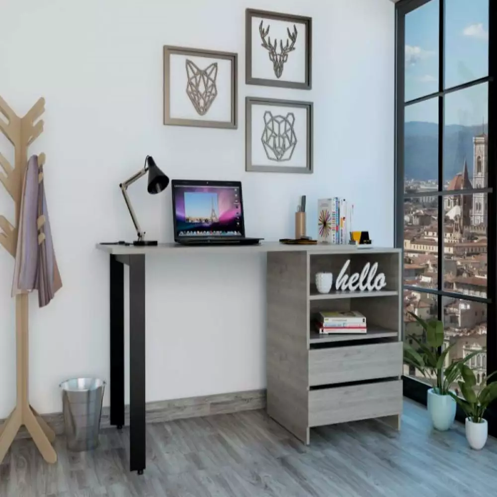 Treevol Furniture 120 Writing Desk Cusco - Two Drawer Light Gray Finish Modern Study Table