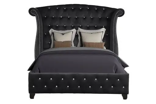 Sophia Upholstery Queen Size Bed Made Wood Black Color Box Spring galaxy home furnishings