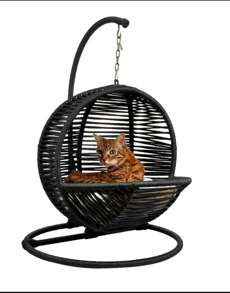 Hazelnut Cat Rocking Chair Black Outdoor Use Contemporary Design furnia