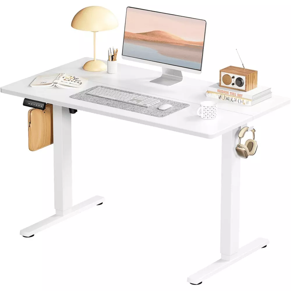 40x24 Inch Ergonomic Electric Standing Desk White FHWM2